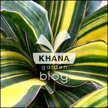 Khana Blog