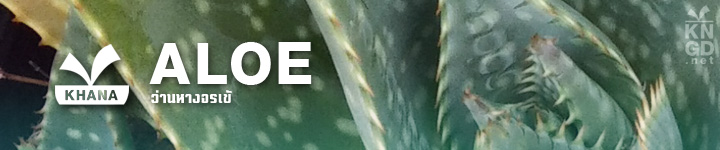 Aloe